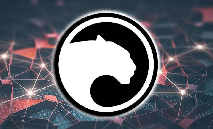 Panther Protocol: Новая эпоха конфиденциальности в DeFi